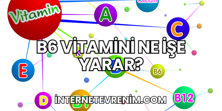 B6 Vitamini Ne İşe Yarar?