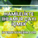 Hamilelikte Ihlamur Çayı İçmek