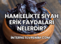 Hamilelikte Siyah Erik Faydaları Nelerdir?