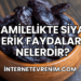 Hamilelikte Siyah Erik Faydaları Nelerdir?