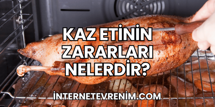 Kaz Etinin Zararları Nelerdir?