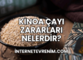 Kinoa Çayı Zararları Nelerdir?