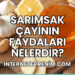 Sarımsak Çayının Faydaları Nelerdir?