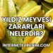 Yıldız Meyvesi Zararları Nelerdir?